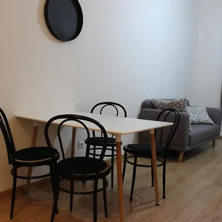 Spacieux F1 Pres Du Chateau Daire *